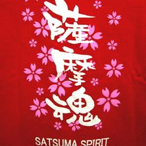 B'z　Tシャツ プレゼントX B'z presentX 限定Tシャツ B'z presentX 限定Tシャツ bz-party-tt