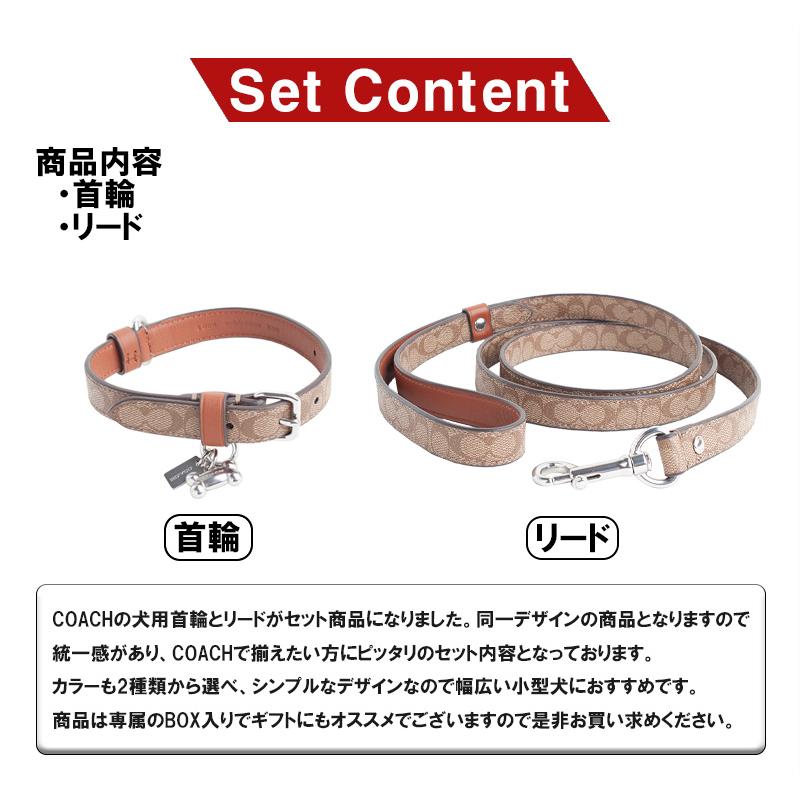 COACHシグネチャーキャンバス首輪とリード犬