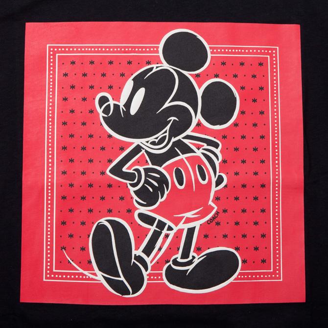 COACH（コーチ） 【並行輸入品】コーチ 小物 コーチ×ディズニー コラボ