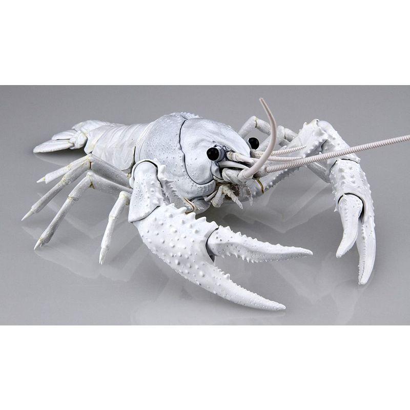 高価値 生き物編 アメリカザリガニ ホワイト 完成品 Www Hallo Tv