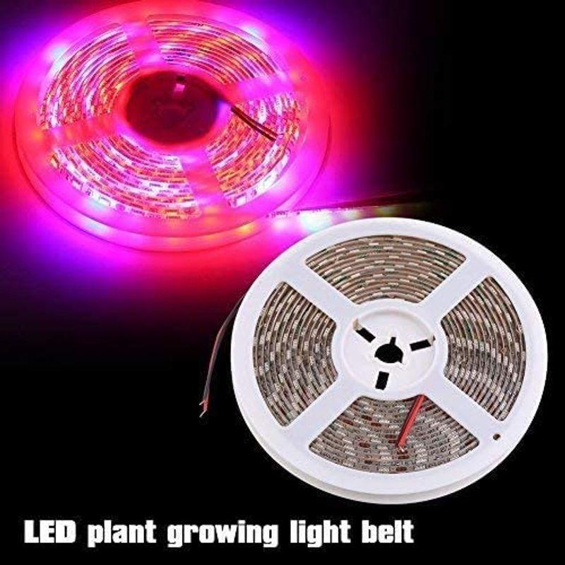 植物育成ライト 植物LED 5：1 LED 5メートル ストリップライト 60pcs 植物育成用 12V 防水 植物ledライト 室内栽培ラ