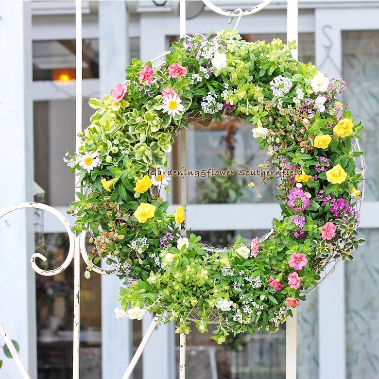 季節の花寄せ植え おまかせギャザリングリース仕立て 35cm 開店御祝 誕生日プレゼントの画像