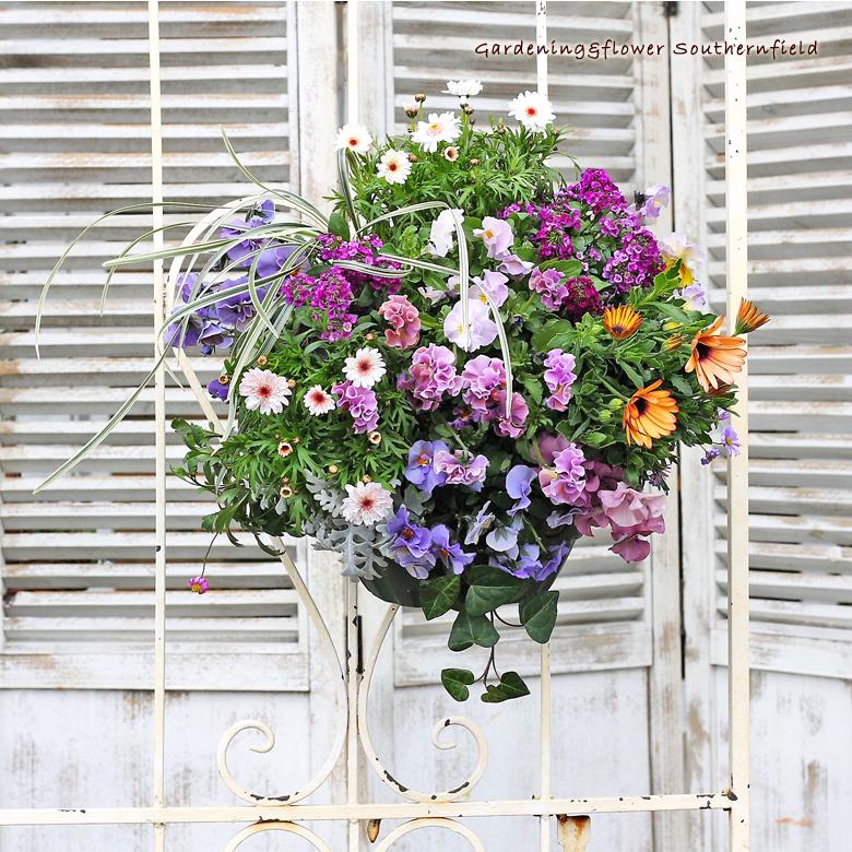 花寄せ植え 季節の花おまかせハンギングバスケット 新築祝い 誕生日