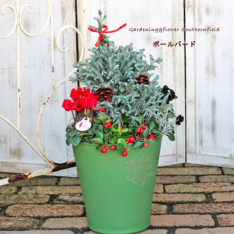 季節の花寄せ植え コニファー チェッカーベリー クリスマスツリー 樹脂ポットgreen クリスマス クリスマスツリー Ha 243 サザンフィールド Gardeningshop 通販 Yahoo ショッピング