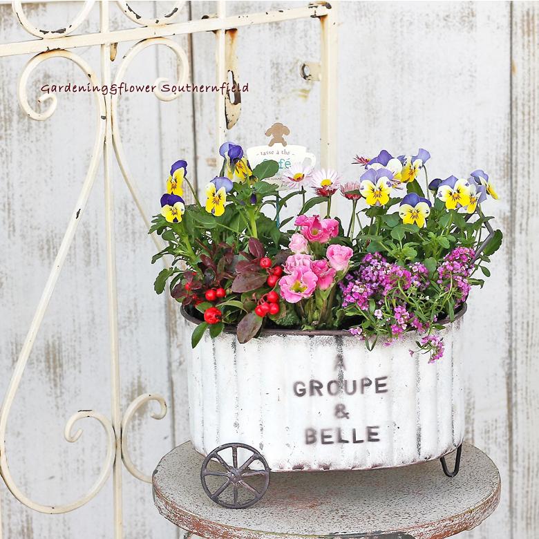 季節の花寄せ植え ビオラ イングリッシュデージー プリムラ フラワーワゴンブリキポットピック付き 新築祝い 誕生日プレゼント Ha 254 サザンフィールド Gardeningshop 通販 Yahoo ショッピング