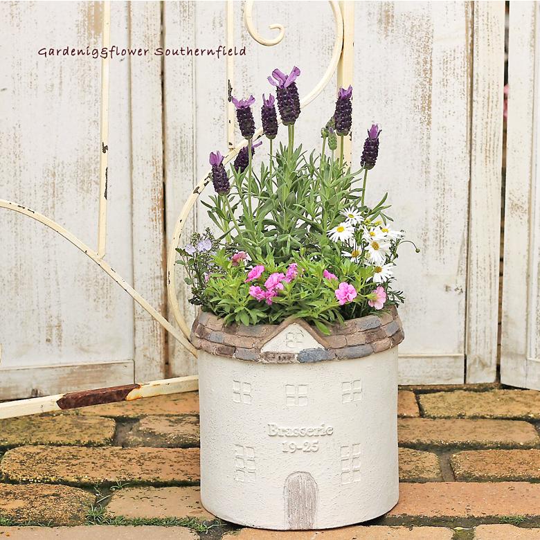 母の日 予約販売 ラベンダー 季節の花 寄せ植え アンティークテラコッタ調 ルフュージュポット プレゼント ギフト Ha 267 サザンフィールド Gardeningshop 通販 Yahoo ショッピング