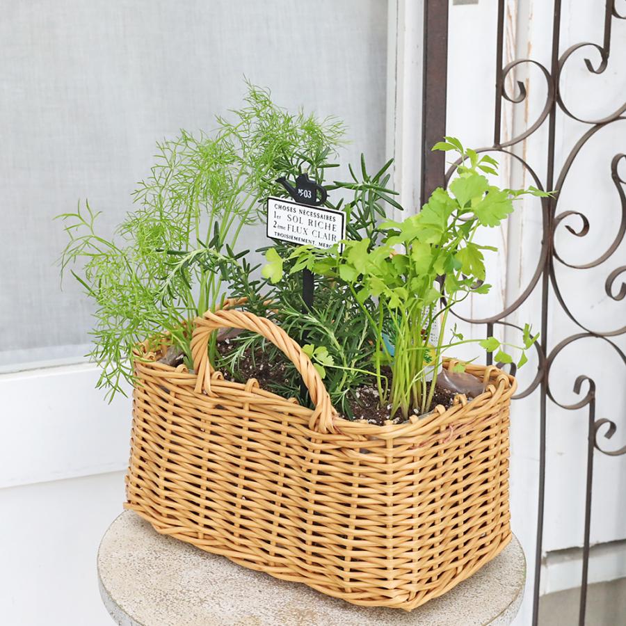 ハーブ寄せ植え おまかせ ナチュラルバスケット スクエア おしゃれ