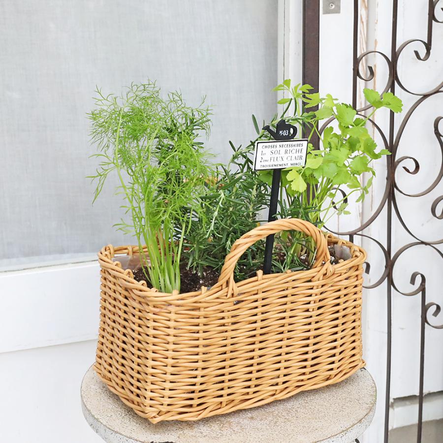 ハーブ寄せ植え おまかせ ナチュラルバスケット スクエア おしゃれ