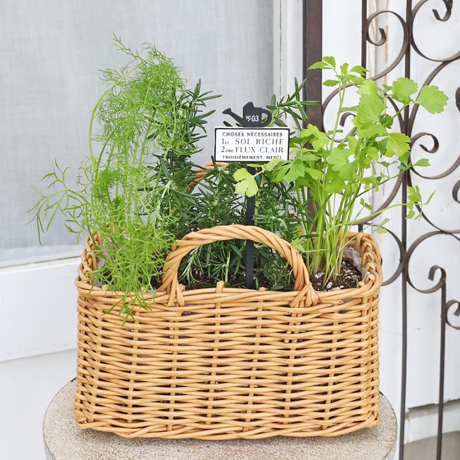 寄せ植え　花■大人可愛いバスケット ハーブ寄せ植え おまかせ ナチュラルバスケット スクエア おしゃれ