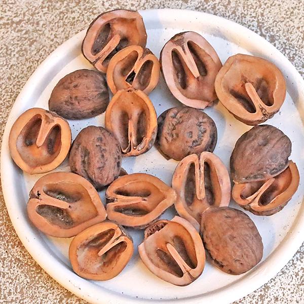園芸用品 くるみチップ 1Lリットル クルミ 殻 おしゃれ マルチング 土