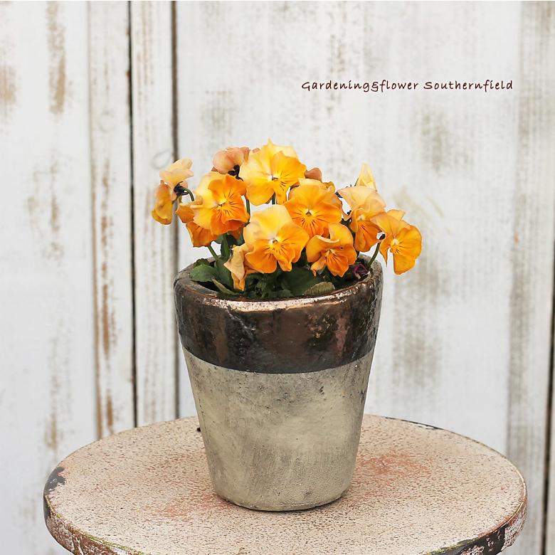 まとめ買い おしゃれ ガーデニング雑貨 アンティーク調 ミノス ラウンドポットm 鉢 陶器 鉢 プランターラック 沖縄県の送料は 350円追加になります 了承しました Www We Job Com