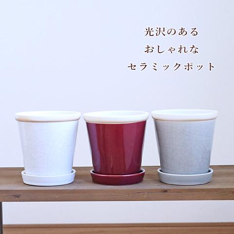 ガーデニング雑貨 陶器鉢 グロッシーポット Lサイズ おしゃれ : サザン