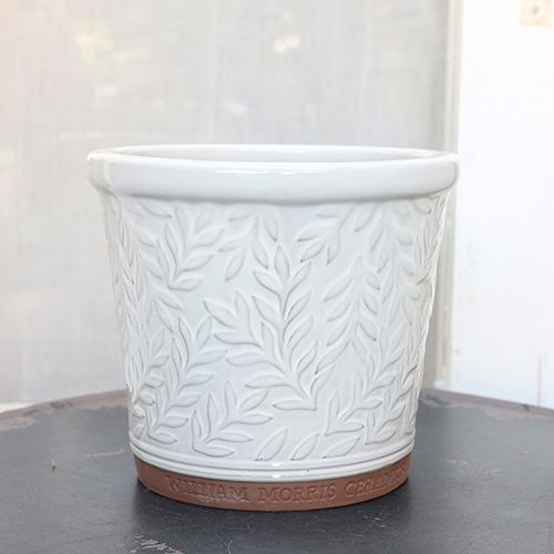 ガーデニング雑貨 陶器鉢 ウィリアムモリス パルナスポット Sサイズ