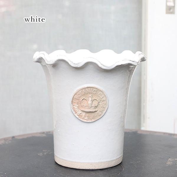 ガーデニング雑貨 陶器鉢 キューガーデン チェスターキュー ガーデニング雑貨 陶器鉢 キューガーデン チェスターキュー