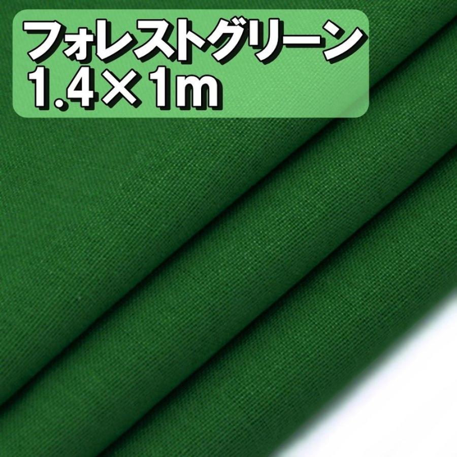 プレミアム 綿 麻 カラー フォレストグリーン 緑色 生地 布 衣類用 単色 無地 幅1 4ｍ 1m キャンバス コットン リネン ハンドメイド 手芸 送料無料 Hos E Hoshi E サザンウインド 通販 Yahoo ショッピング