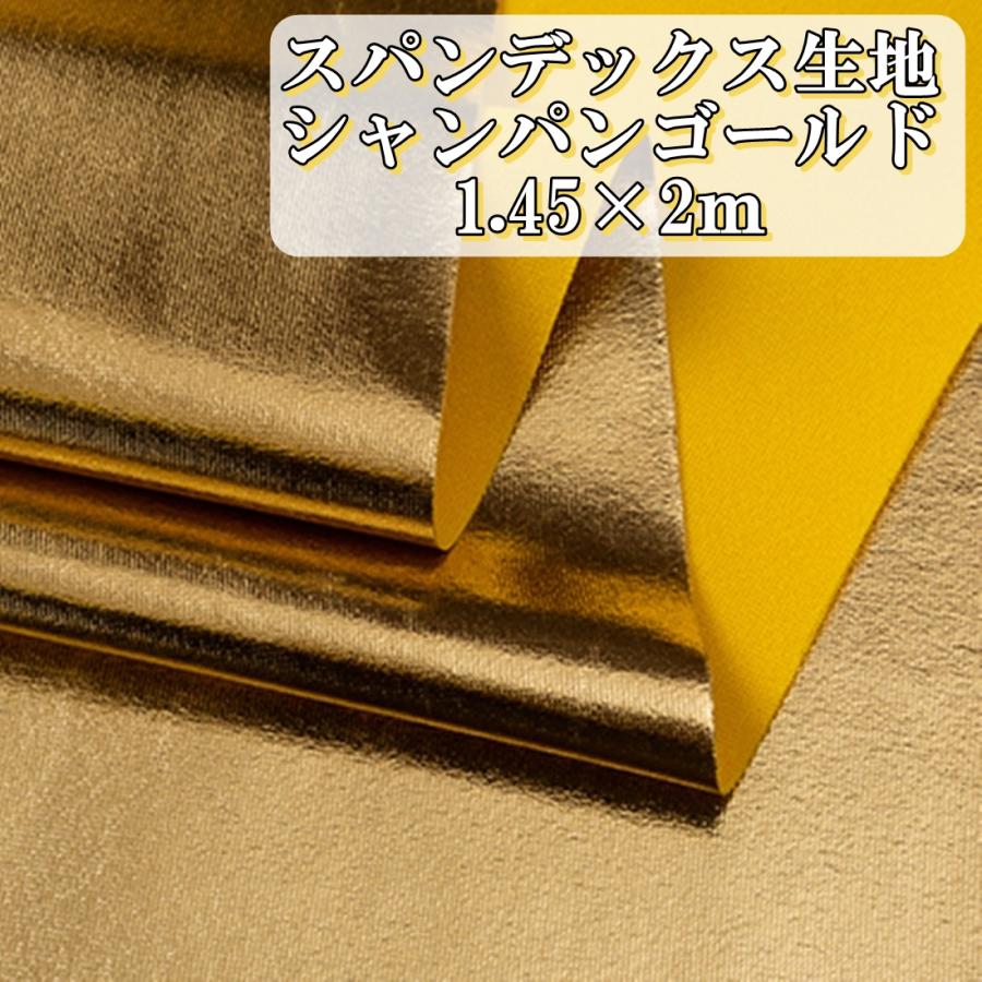 スパンデックス カラー メタリック 生地 シャンパンゴールド 淡黄色 手芸 レオタード 衣装 用 長さ約2m 幅約145cm 2way 伸縮 弾性 Diy 手作 送料無料 Hos G99 Hoshi G99 サザンウインド 通販 Yahoo ショッピング