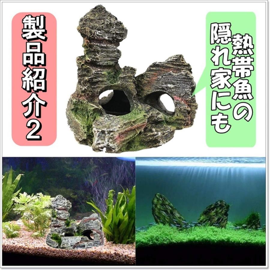 水槽 岩 アクアリウム オーナメント 2種 セット B 樹脂 製 模型 熱帯魚 飼育 飾り オブジェ 背景 水景 風景 装飾 岩石 コケ 送料無料 Hos J56 Hoshi J56 サザンウインド 通販 Yahoo ショッピング