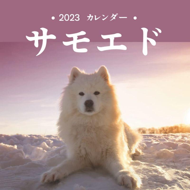 サモエド カレンダー 素晴らしいギフト12か月のカレンダー2023年の美しい写真 2022121020082400073サウスウインド