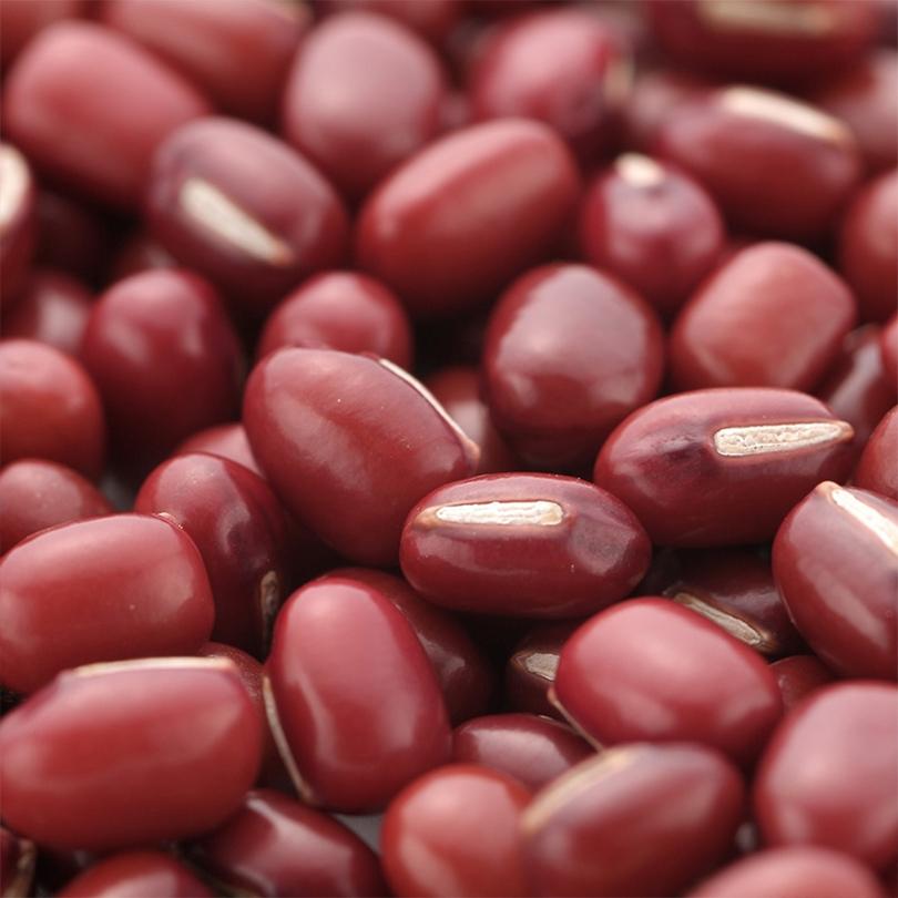 あずきミルクジャム【140g×10個セット】ノースファームストック 北海道 お土産 オホーツク 塩 ポリフェノール 食物繊維 パン ホットケーキ パンケーキ ギフト お取り寄せ プレゼント 送料無料 NORTH FARM STOCK（ノースファームストック） あずきミルクジャム 140g