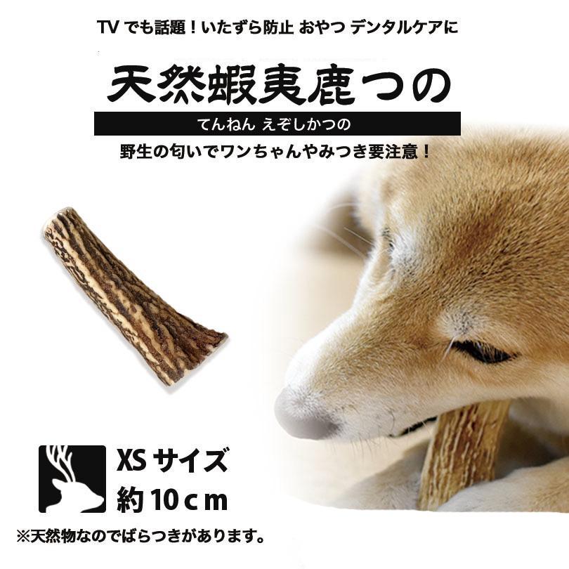 XSサイズ 約10cm 北海道産 鹿角 ペット 犬 おもちゃ 小型犬 プレゼント