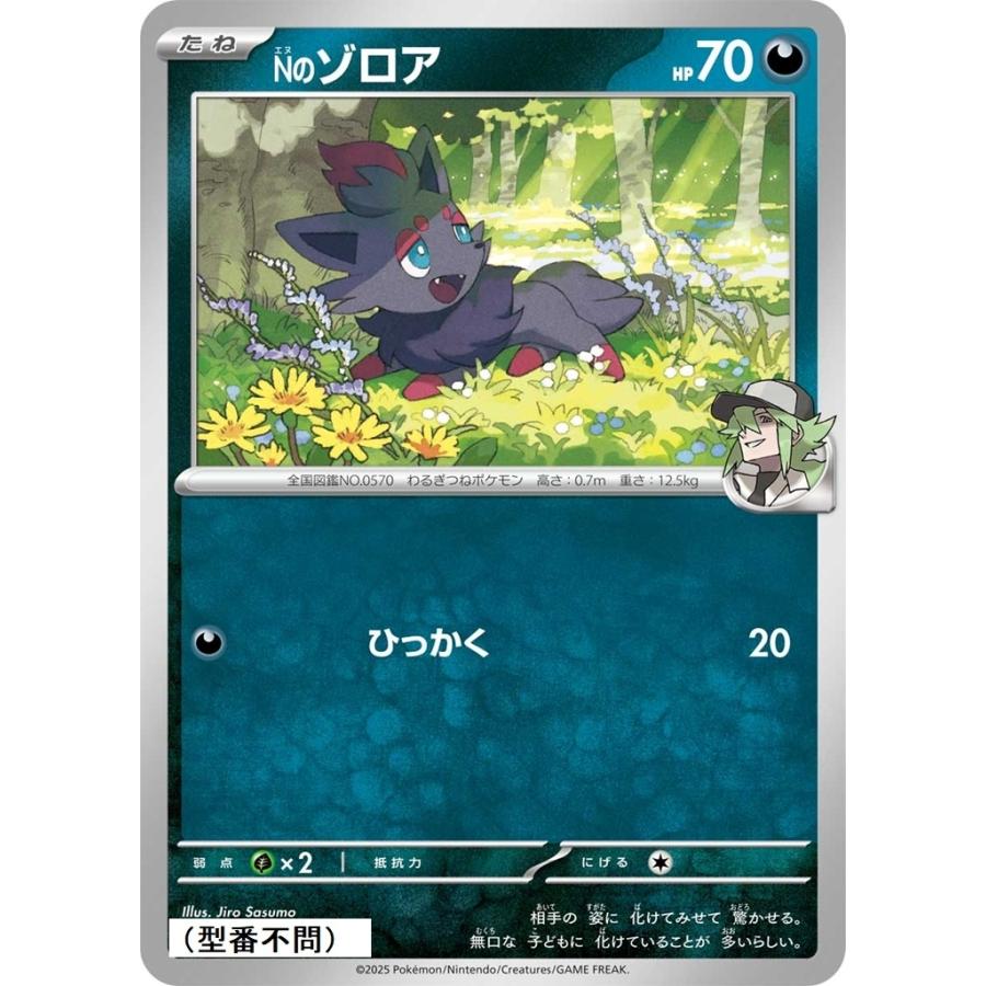 Pokemon（ポケモン） Nのゾロア〔-〕【悪/たね】 〈*型番不問 MEGA