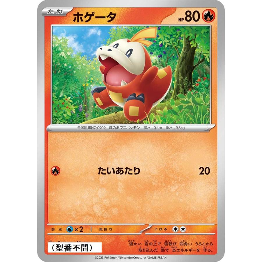 ホゲータ様 Pokemon ホゲータ(たいあたり)〔-〕【炎/たね】 〈*型番不問