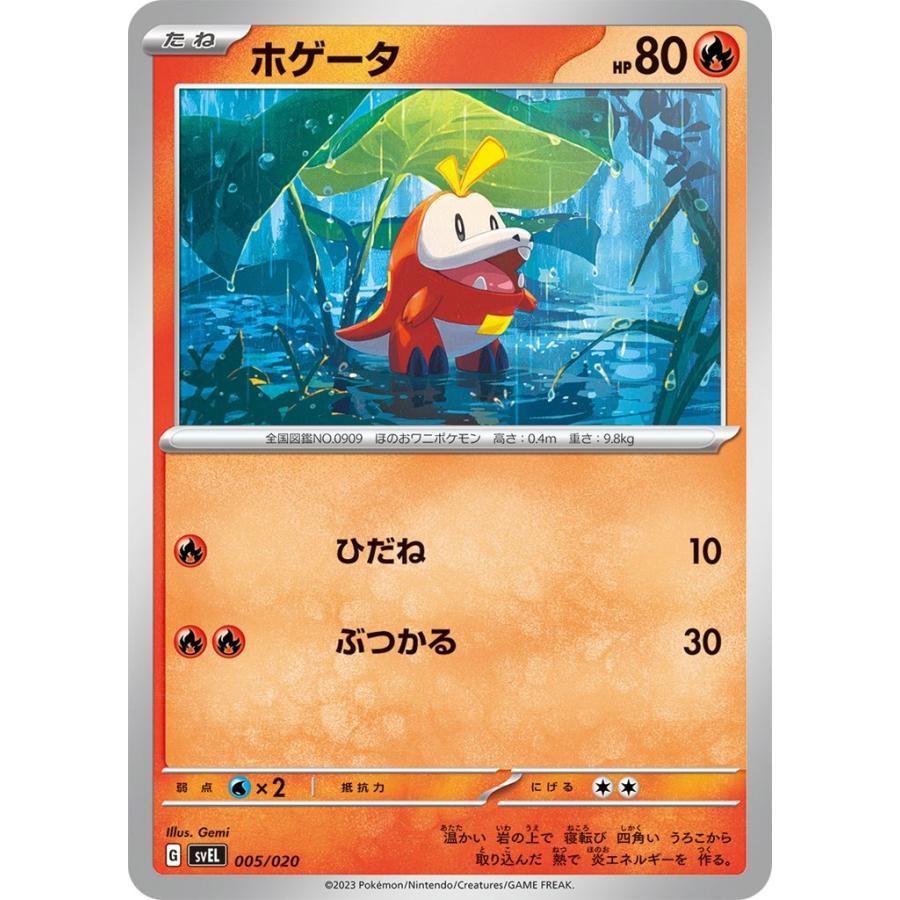 Pokemon ホゲータ(ノーマル)〔-〕【炎/たね】 〈スターター