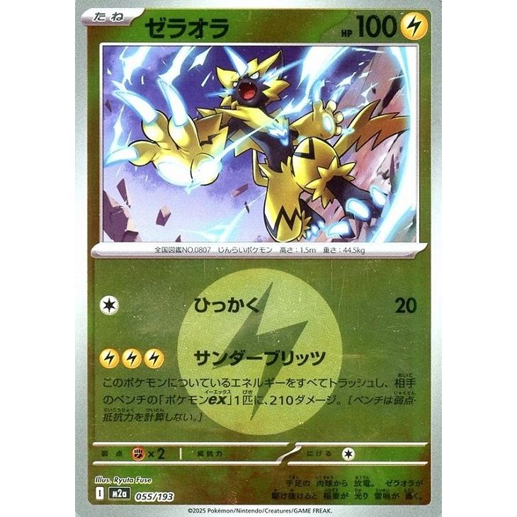 Pokemon（ポケモン） ゼラオラ(エネルギーミラー)〔-〕【雷/たね