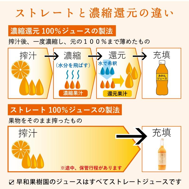 みかん ジュース 無添加 早和果樹園 味こいしぼり  720ml&times;3本入りW  果汁100％ 高級 お取り寄せ 健康