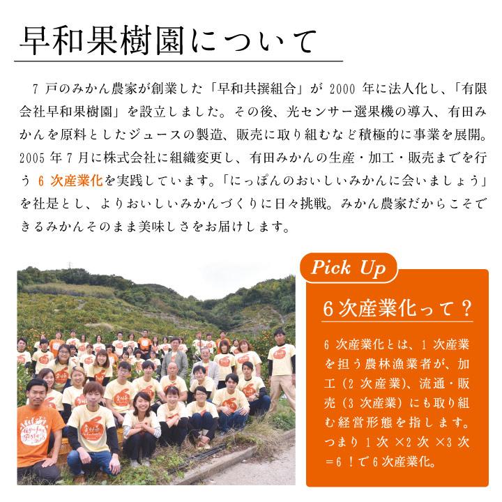 お中元 御供 お盆 ゼリー みかん 内祝い 手土産 高級 果樹園の濃厚みかんジュレ まるごと 1個入り 120g×6個入 有田 和歌山 グルメフェスクーポン 超PayPay祭 | 早和果樹園 | 16