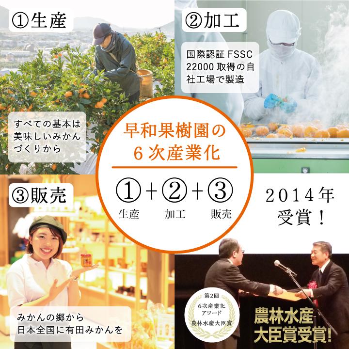 お中元 御供 お盆 ゼリー みかん 内祝い 手土産 高級 果樹園の濃厚みかんジュレ まるごと 1個入り 120g×6個入 有田 和歌山 グルメフェスクーポン 超PayPay祭 | 早和果樹園 | 17