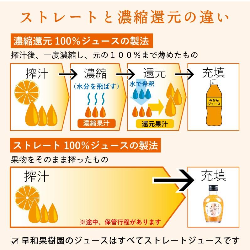 みかんジュース ストレート 有田 無添加 果汁100％ 早和果樹園 飲むみかん 180ml×6本入R  和歌山 手土産 バレンタイン プレゼント テレビ放送 | 早和果樹園 | 07