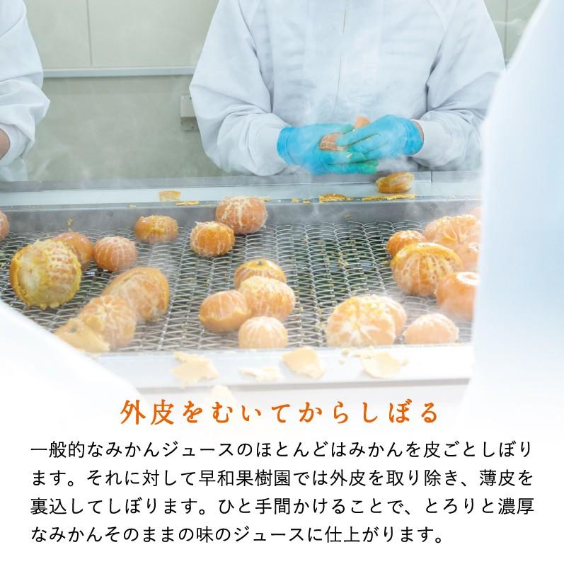 みかん ジュース 有田 無添加 ストレート 果汁100% 早和果樹園 飲むみかん 720ml×9本入w 送料無料  和歌山 お取り寄せ 健康 | 早和果樹園 | 03