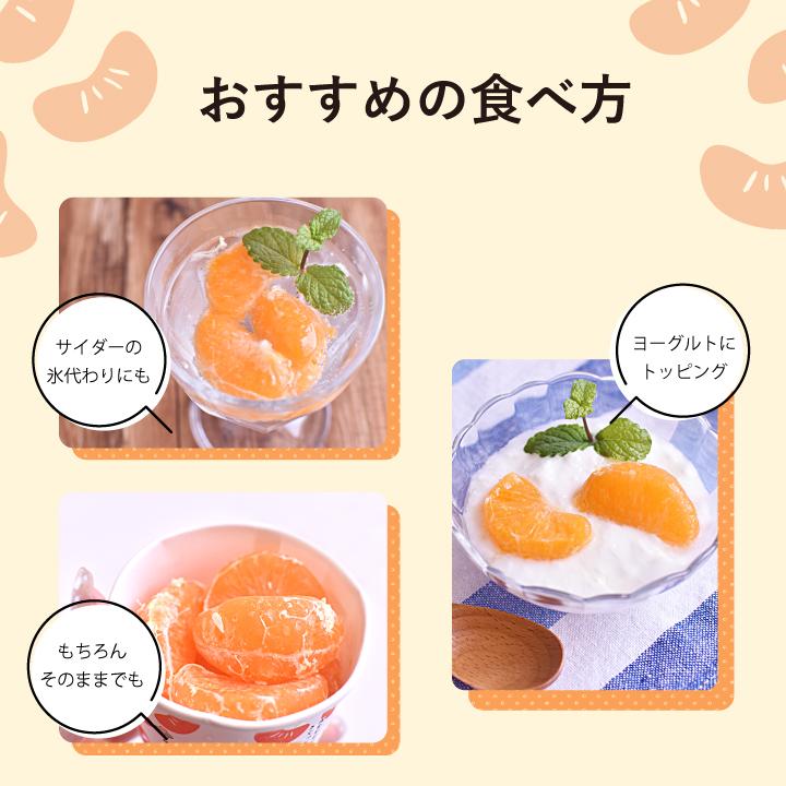 早和果樹園 冷凍みかん 90g×3個 国産 有田みかん ひとくち フルーツ