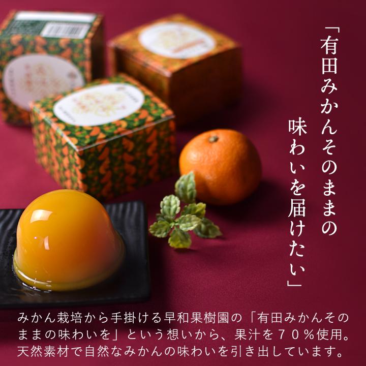 虎太郎の母　和田果樹園の果物　10kg ✖️2箱 早和果樹園 ホワイトデー お返し プチギフト ゼリー 500円 退職 お礼