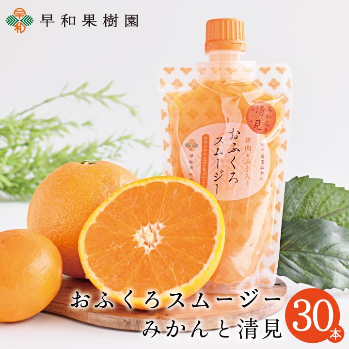 みかんスムージー 有田みかん ゼリー フルーツ おふくろスムージー清見170g×30本入 送料無料 シャーベット 和歌山 期間限定 みかんスムージー 有田みかん ゼリー フルーツ おふくろスムージー清見170g×30本入 送料無料 シャーベット 和歌山 期間限定