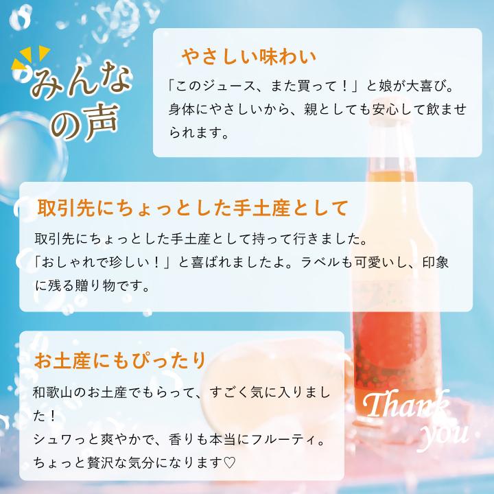 早和果樹園 微炭酸 ジュース みかん 有田みかんサイダー6本 フルーツ