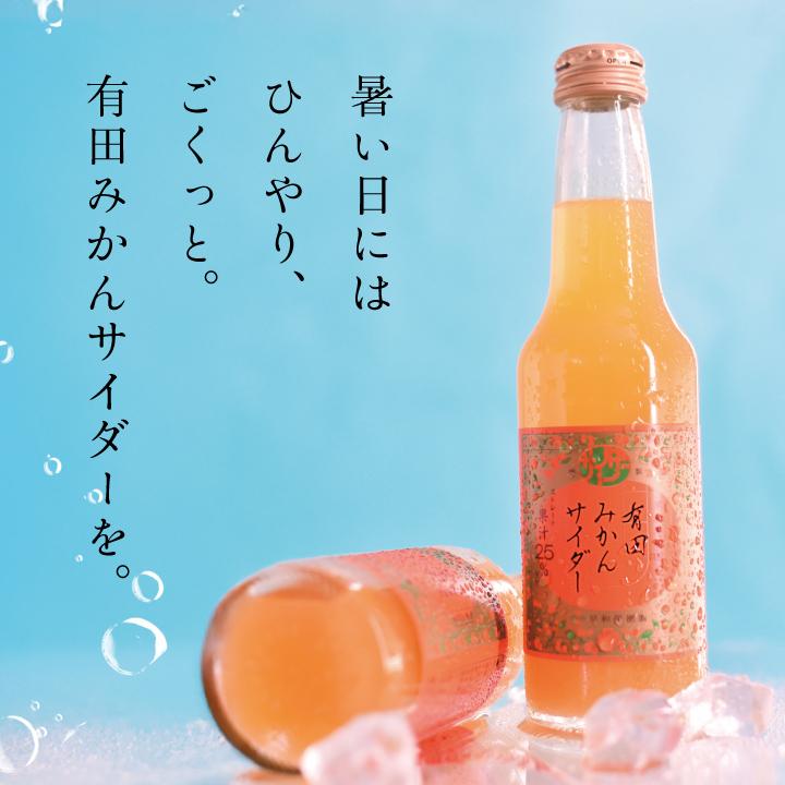 早和果樹園 微炭酸 ジュース みかん 有田みかんサイダー6本 フルーツ