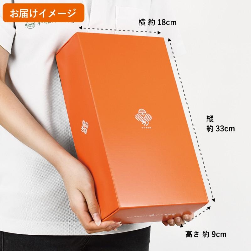 ジュース ギフト みかん ジュース 無添加 お返し 手土産 贈り物 ギフト 飲むみかん２本入りギフト 内祝い みかんジュース お祝い お見舞 早和果樹園 | 早和果樹園 | 02