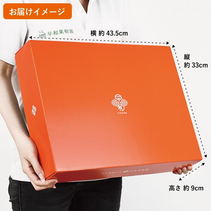 ジュース ギフト みかん ジュース 無添加 贈り物 ストレート 果汁100% 飲むみかん5本ギフト  和歌山 有田 温州みかん 無添加 内祝 | 早和果樹園 | 02