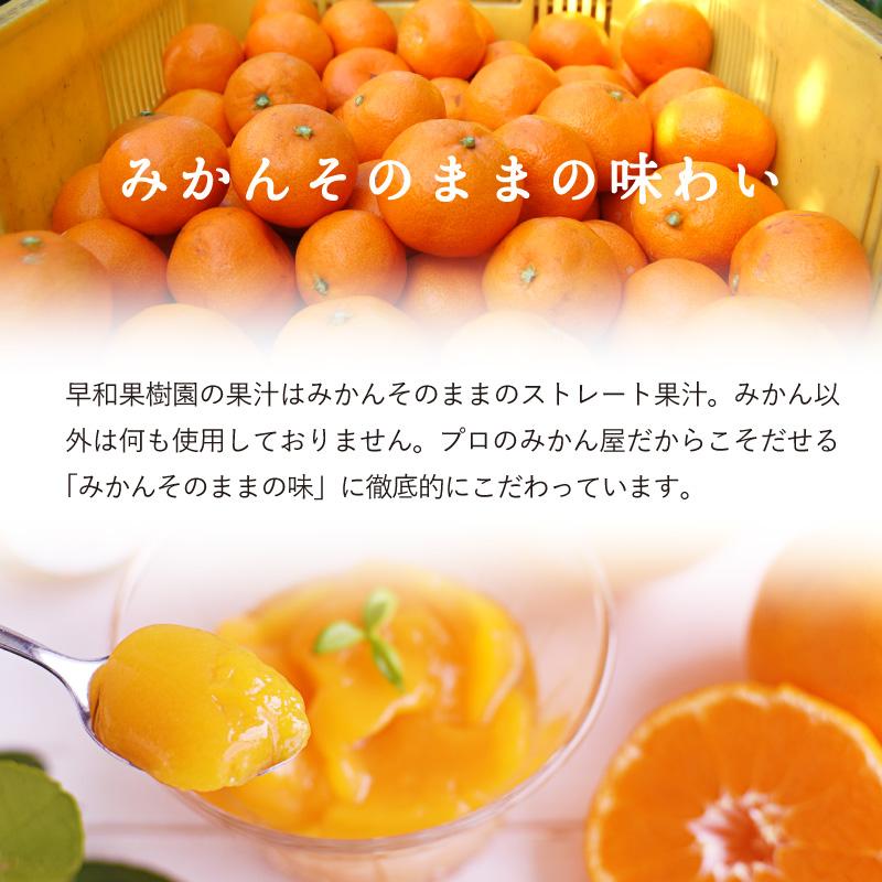 早和果樹園 母の日 詰め合わせ 3000円 みかん ジュース ゼリー ギフト