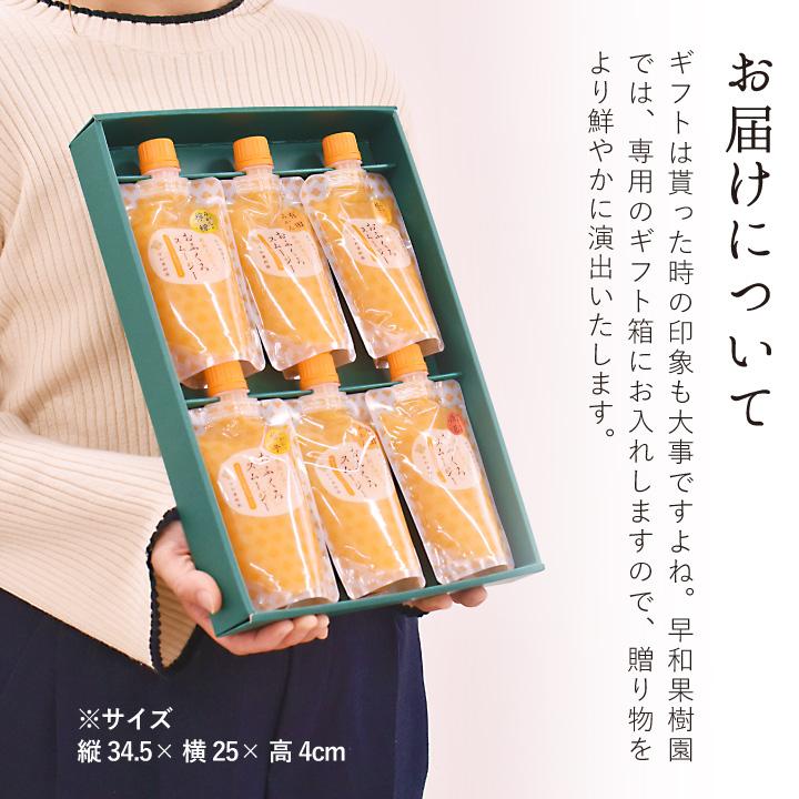 早和果樹園 お見舞い ギフト スムージー 飲むゼリー パウチ 子ども