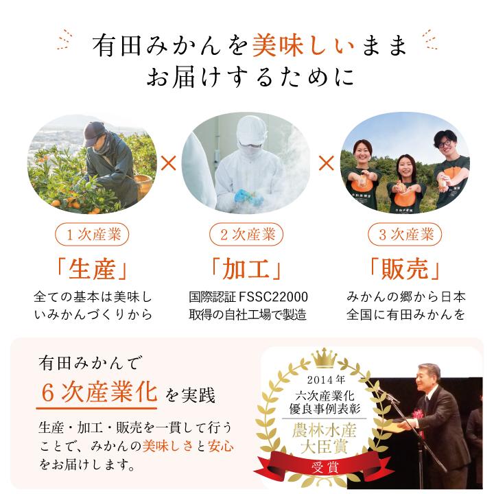 早和果樹園 敬老の日 ゼリー お見舞い ギフト みかん 果物 内祝 お返し