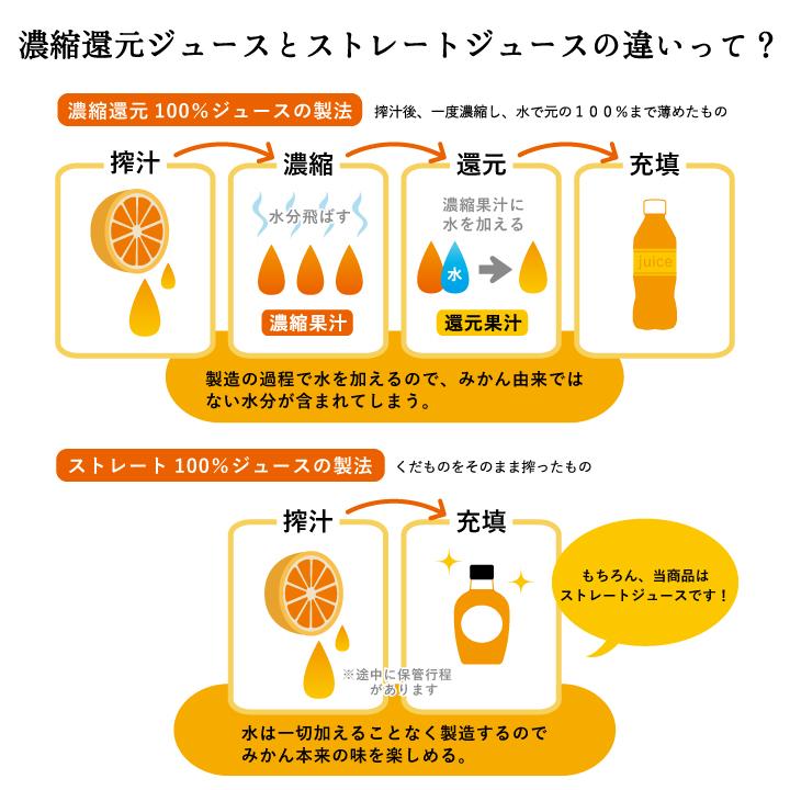 お歳暮 2025 プレゼント ジュース ギフト 無添加  有田 みかん 果汁 100% ストレート 内祝 御祝 飲むみかん6本ギフトR 和歌山 早和果樹園 | 早和果樹園 | 06