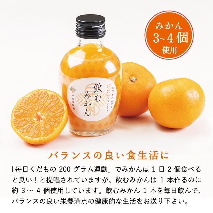 早和果樹園 ジュース みかん ストレート 無添加 美味しい 人気 健康
