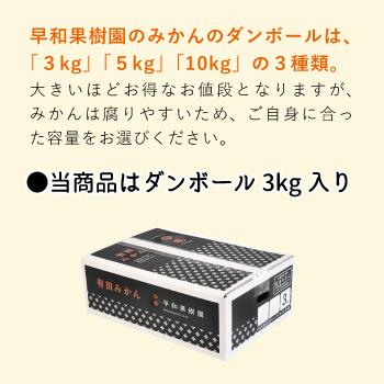 早和果樹園 お歳暮 みかん 有田みかん 産地直送 味まろみかん 3kg