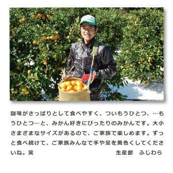 早和果樹園 お歳暮 みかん 有田みかん 産地直送 味まろみかん 3kg