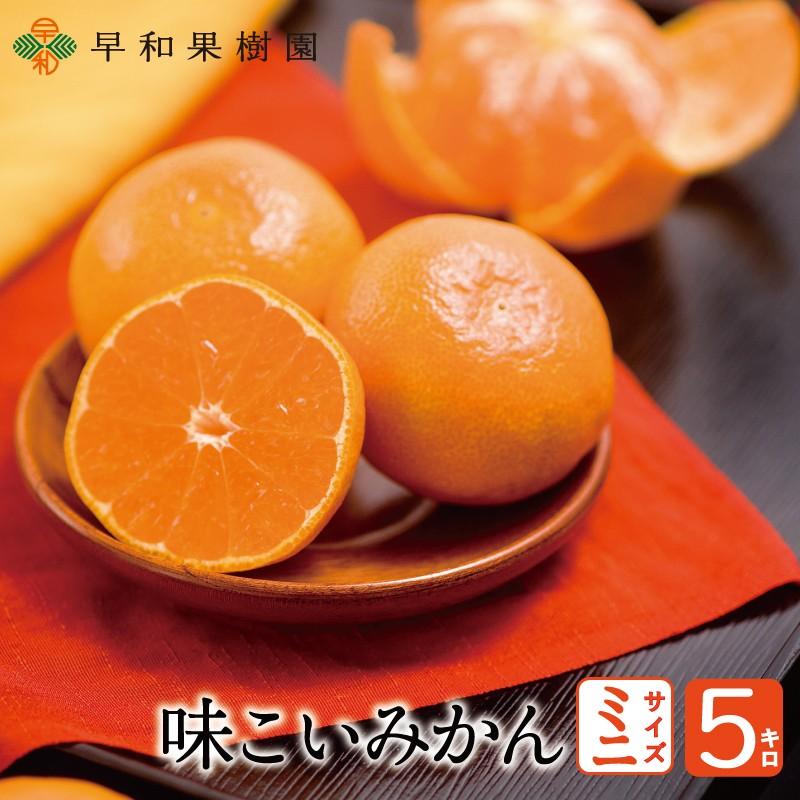 みかん お歳暮 有田みかん 産地直送 味こいみかんミニ 2Sサイズ 5kg 送料無料 国産 早和果樹園 :031-002:早和果樹園Yahoo!店 - 通販 - Yahoo!ショッピング みかん お歳暮 有田みかん 産地直送 味こいみかんミニ 2Sサイズ 5kg 送料無料 国産 早和果樹園 :031-002:早和果樹園Yahoo!店 - 通販 - Yahoo!ショッピング