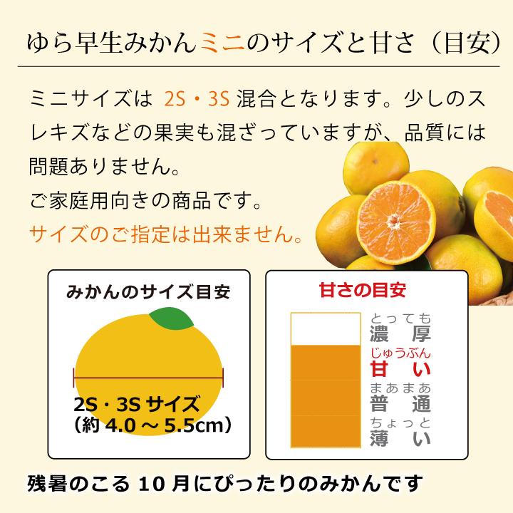 早和果樹園 みかん ゆら早生みかん ミニサイズ 5kg 小玉 箱 予約 送料