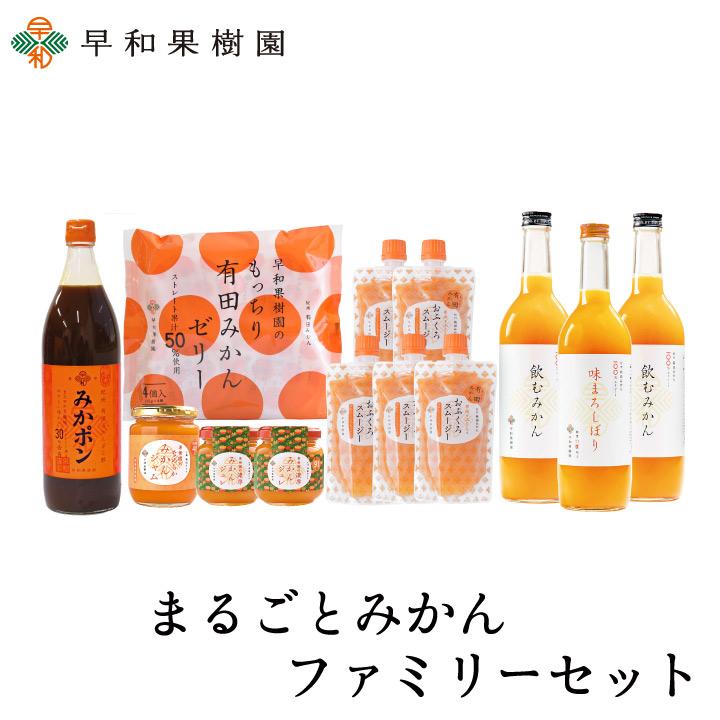 早和果樹園 お中元 夏 ギフト 10000円 贈り物 みかん ジュース ゼリー